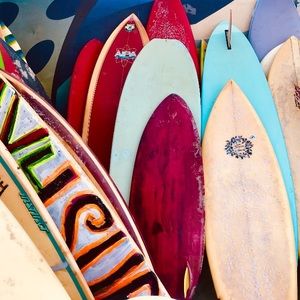 Meet your Posher, Sunny